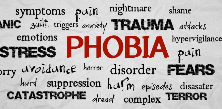 Çka e shkakton një fobi?